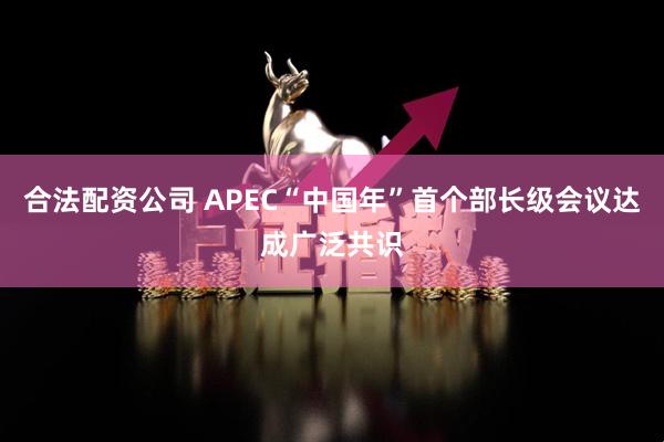 合法配资公司 APEC“中国年”首个部长级会议达成广泛共识